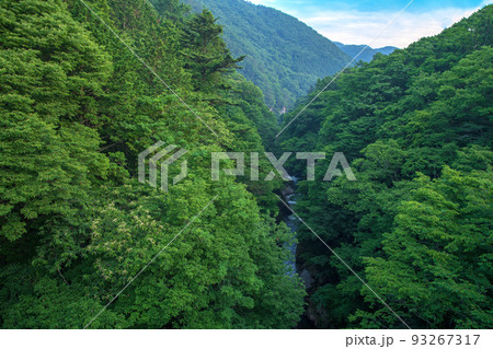 吹き割渓谷　吹割大橋からの眺め　初夏の風景 93267317