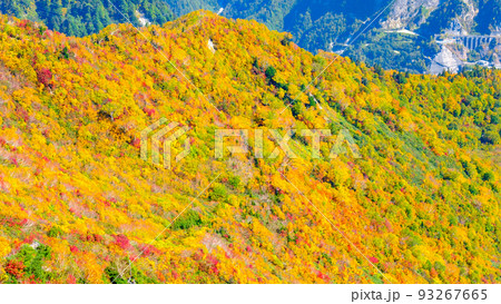 立山の紅葉 立山の紅葉 93267665
