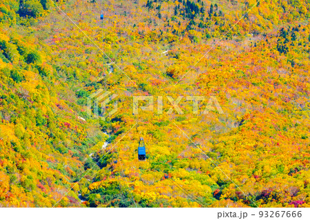 立山ロープウェイ（秋） 93267666