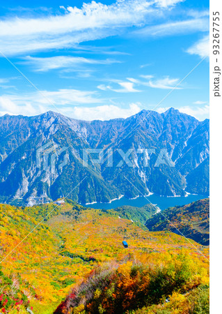 秋の立山黒部アルペンルート（大観峰からの眺め） 93267755