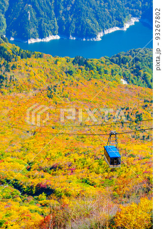 立山ロープウェイ（秋） 93267802