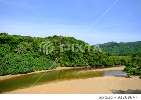 吹通川マングローブ群落の風景(沖縄・石垣島)7 吹通川マングローブ群落の風景(沖縄・石垣島)7 93268647