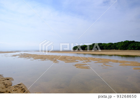吹通川マングローブ群落から見た海岸の風景(沖縄・石垣島) 吹通川マングローブ群落から見た海岸の風景(沖縄・石垣島) 93268650