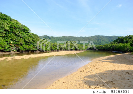 吹通川マングローブ群落の風景（沖縄・石垣島）4 93268655