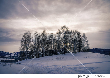 旅行 行程 旅 93268825