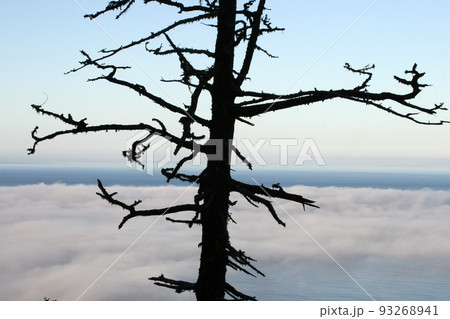 太陽 雲 空 93268941