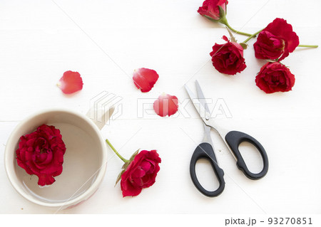 rose flowers float on the water in cup arrangement flat lay postcard style rose flowers float on the water in cup arrangement flat lay postcard style 93270851