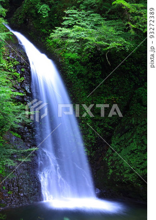群馬県 大仙の滝 群馬県 大仙の滝 93272389