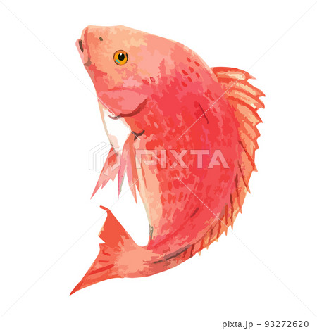 手描きのめでたい鯛 手描きのめでたい鯛 93272620