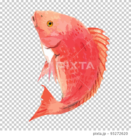 手描きのめでたい鯛 手描きのめでたい鯛 93272620