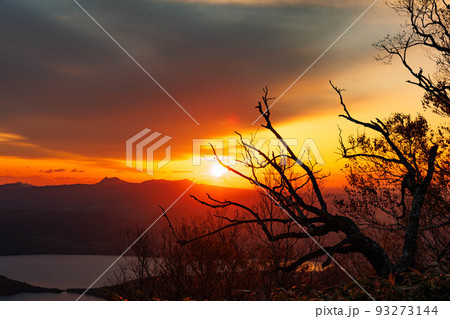 朝日に染まる雄大な津別峠「秋の北海道」 93273144
