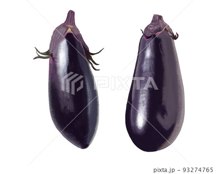 茄子 茄子 93274765