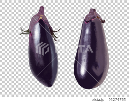 茄子 茄子 93274765