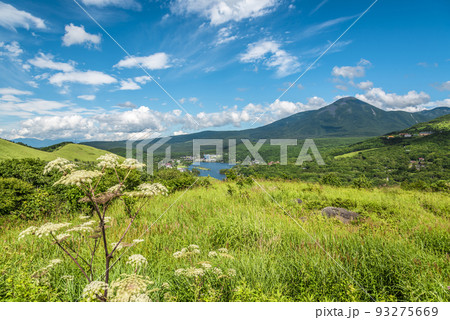 長野県ビーナスラインからの風景、蓼科山と青空と白い雲【8月】 長野県ビーナスラインからの風景、蓼科山と青空と白い雲【8月】 93275669