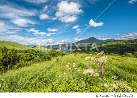 長野県ビーナスラインからの風景、蓼科山と青空と白い雲【8月】 長野県ビーナスラインからの風景、蓼科山と青空と白い雲【8月】 93275672