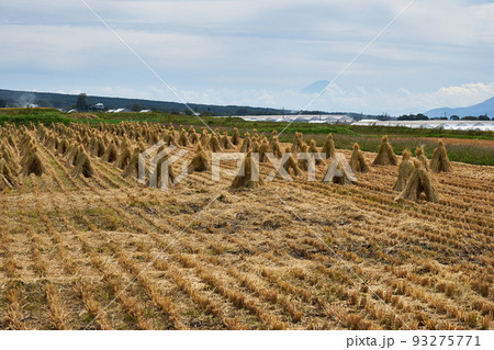 長野県 八ヶ岳エコーラインからの富士山 長野県 八ヶ岳エコーラインからの富士山 93275771