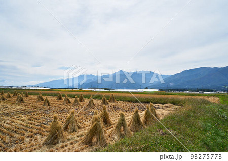 長野県　八ヶ岳エコーラインからの景色 93275773