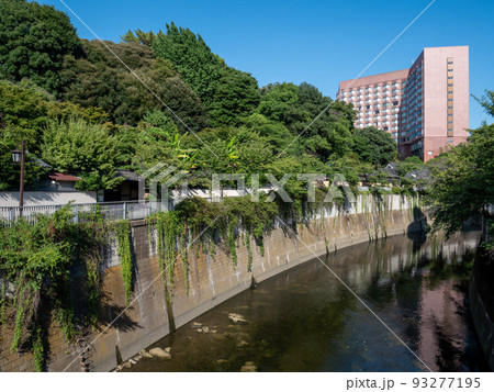 東京都文京区関口からの神田川の眺め 東京都文京区関口からの神田川の眺め 93277195