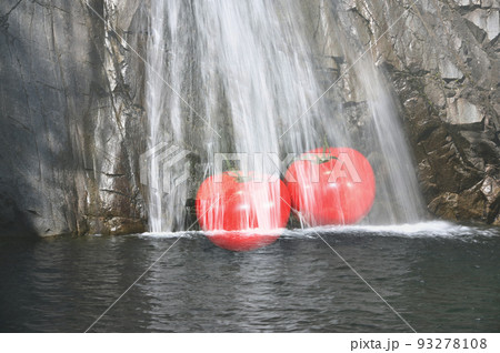 滝水とトマト 滝水とトマト 93278108
