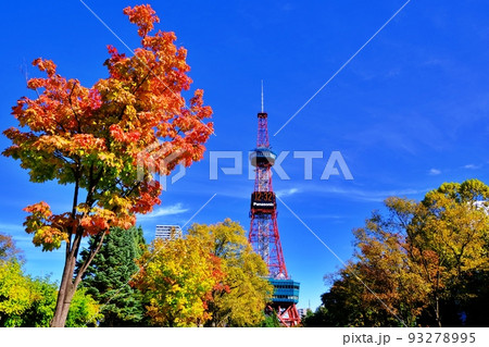 札幌市大通公園の紅葉とさっぽろテレビ塔 93278995