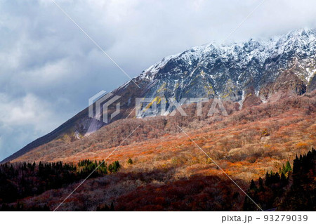大山南壁の紅葉と新雪 93279039