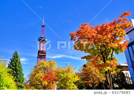 札幌市大通公園の紅葉とさっぽろテレビ塔 93279085