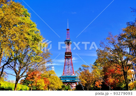 札幌市大通公園の紅葉とさっぽろテレビ塔 札幌市大通公園の紅葉とさっぽろテレビ塔 93279093