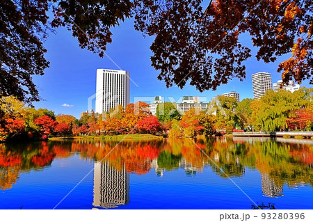 札幌市 中島公園の紅葉 93280396