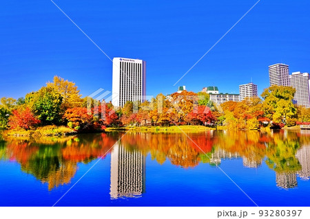 札幌市 中島公園の紅葉 93280397