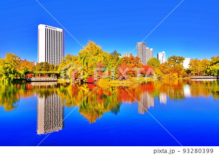 札幌市 中島公園の紅葉 93280399
