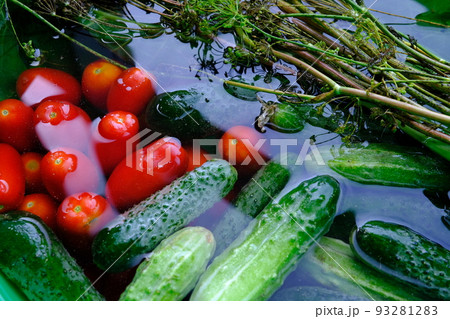 The cucumbers, tomatoes, and dill are ready for pickling once they have been picked. 93281283