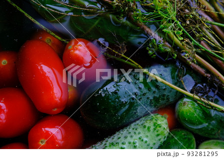 The cucumbers, tomatoes, and dill are ready for pickling once they have been picked. The cucumbers, tomatoes, and dill are ready for pickling once they have been picked. 93281295