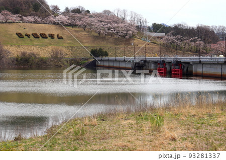 四十四田ダムと南部片富士湖 93281337