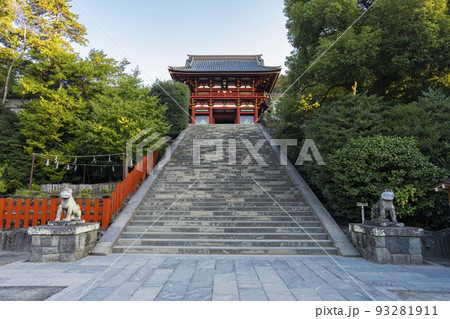 鶴岡八幡宮 鶴岡八幡宮 93281911