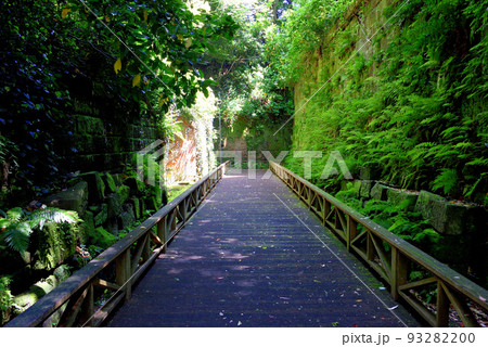 無人島・猿島のハイライトの木道のイメージ(高い位置より)・神奈川県横須賀市 93282200