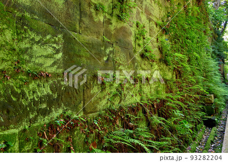 無人島・木道から眺める、シダ類と苔が蒸した趣のある石積みの眺め・神奈川県横須賀市 無人島・木道から眺める、シダ類と苔が蒸した趣のある石積みの眺め・神奈川県横須賀市 93282204