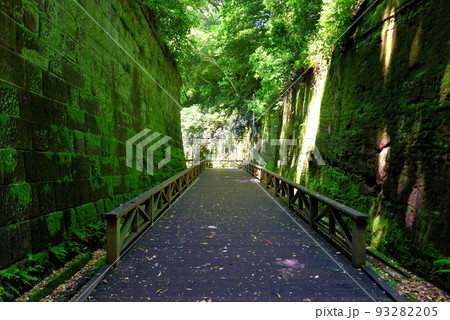 無人島・木道の終点地点、トンネルに向かって折れる木道(トンネル側より)・神奈川県横須賀市 93282205