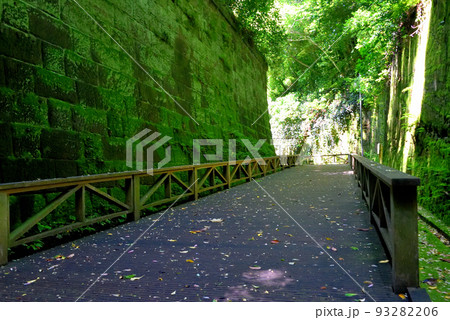無人島・木道の終点地点、トンネルに向かって折れる木道(トンネル側より)・神奈川県横須賀市 無人島・木道の終点地点、トンネルに向かって折れる木道(トンネル側より)・神奈川県横須賀市 93282206