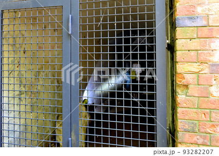 無人島・猿島・弾薬庫跡の内部に入って説明してくれる探検ツアーのイメージ(2)・神奈川県横須賀市 93282207