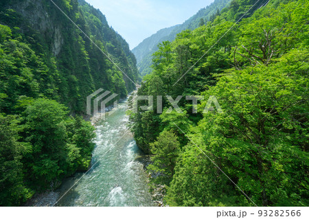 富山県　黒部峡谷鉄道　新緑の黒部峡谷　欅平奥鐘橋からの眺め 93282566