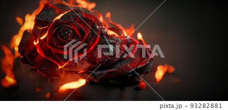 burning rose wallpaper by Vi on DeviantArt