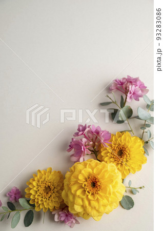 Floral composition greeting card mockup. Pink and yellow flowers with copy space. Hydrangea, dahlias and eucalyptus. Floral composition greeting card mockup. Pink and yellow flowers with copy space. Hydrangea, dahlias and eucalyptus. 93283086