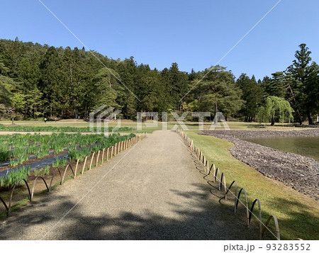 平泉の毛越寺 平泉の毛越寺 93283552