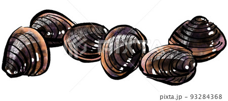 「蜆貝（しじみ）」の手書きイラスト（筆書き墨絵風） 93284368