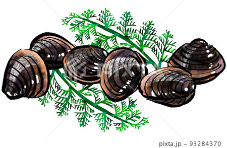 「蜆貝(しじみ)」の手書きイラスト(筆書き墨絵風) 「蜆貝(しじみ)」の手書きイラスト(筆書き墨絵風) 93284370