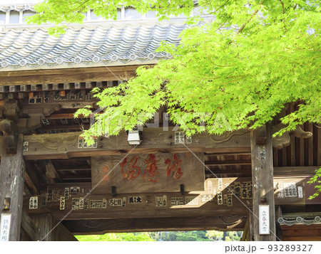 修善寺の新緑 修善寺の新緑 93289327