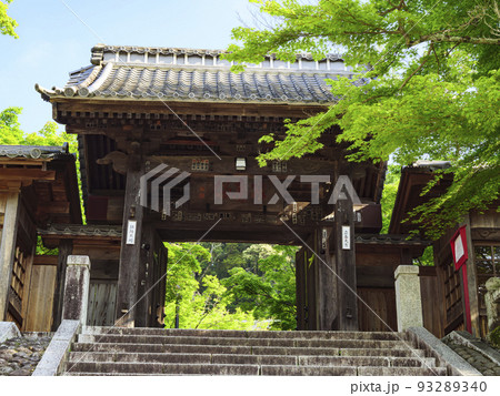 修善寺の新緑　 93289340
