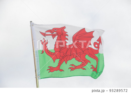 ウェールズ ウェールズ 93289572