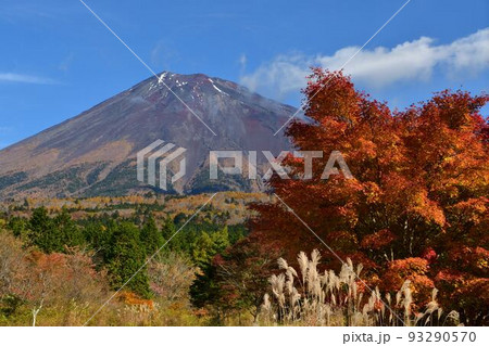 静岡県西臼塚から紅葉と富士山 静岡県西臼塚から紅葉と富士山 93290570