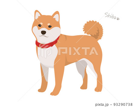 柴犬_赤毛 93290738